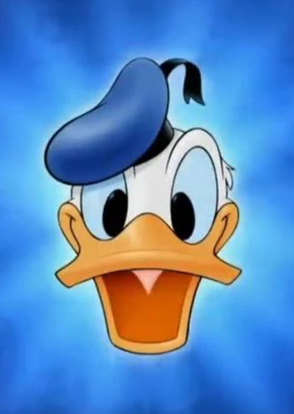 Donald Duck photo