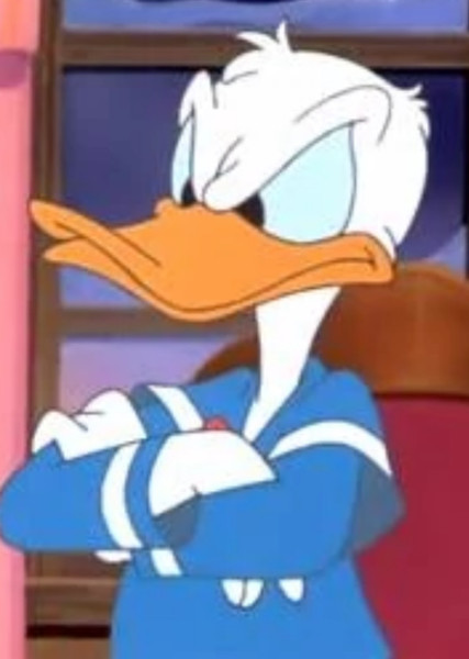Donald Duck photo