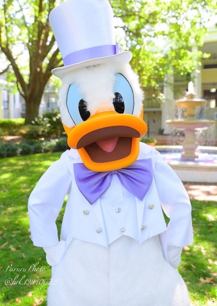 Donald Duck photo