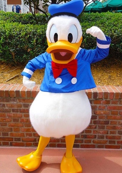 Donald Duck
