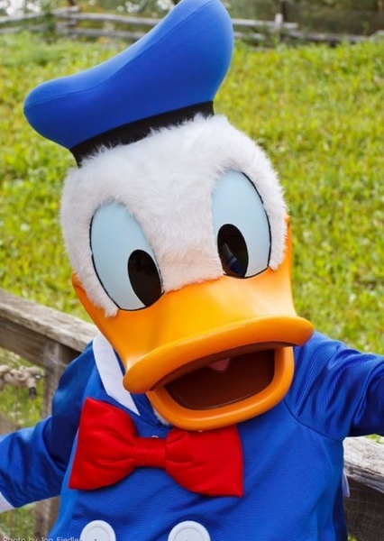 Donald Duck photo