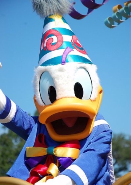 Donald Duck photo