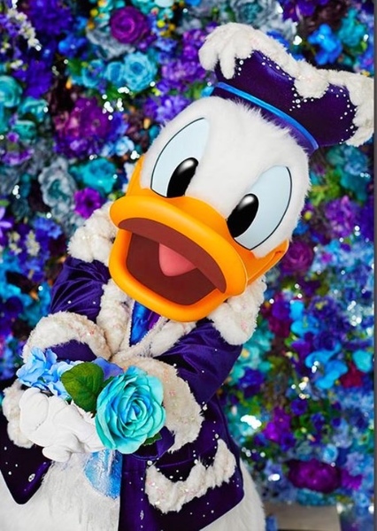 Donald Duck photo