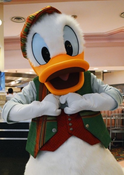 Donald Duck photo