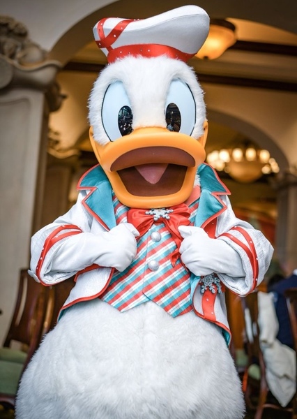 Donald Duck photo