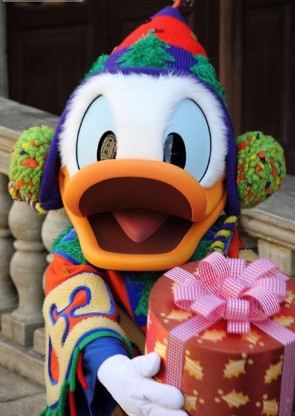 Donald Duck photo
