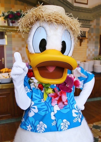 Donald Duck photo