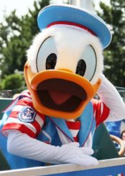 Donald Duck photo