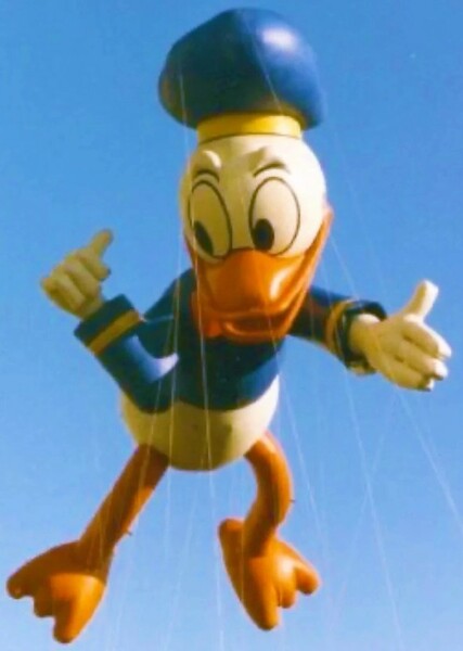 Donald Duck photo