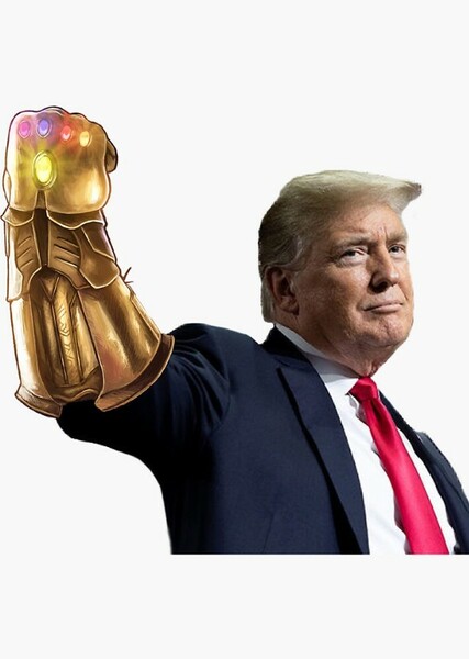 DONALD J TRUMP