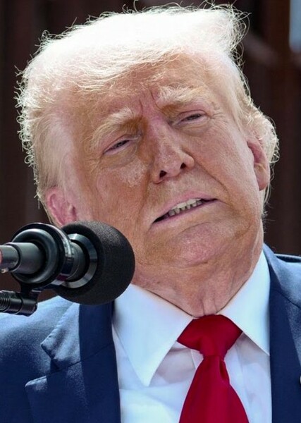 Donald Trump photo