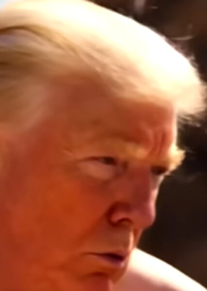 Donald Trump photo
