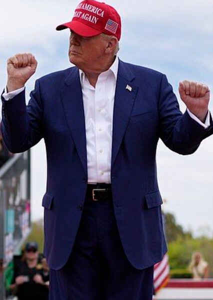 Donald Trump photo