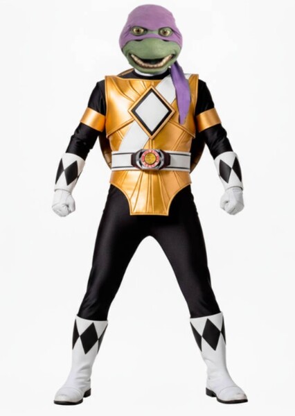 Donatello The Black Turtle Ranger Dimension X Purple Ranger photo