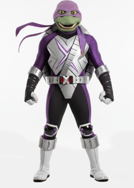 Donatello The Black Turtle Ranger Dimension X Purple Ranger photo