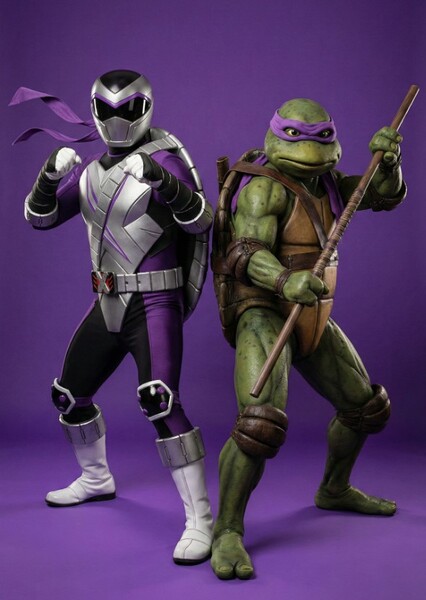 Donatello The Black Turtle Ranger Dimension X Purple Ranger photo
