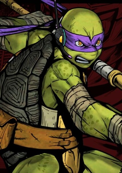 Donatello (TMNT) photo