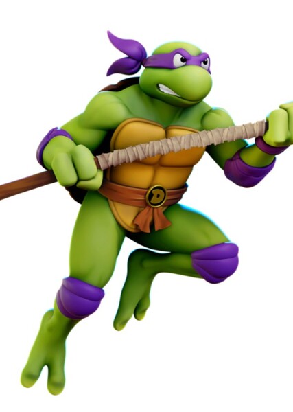 Donatello (TMNT) photo