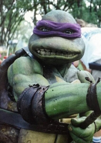 Donatello (TMNT) photo
