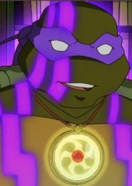 Donatello (TMNT 2003) photo