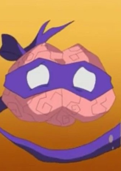 Donatello (TMNT 2003) photo