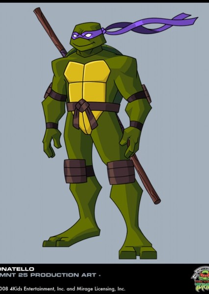Donatello (TMNT 2003) photo
