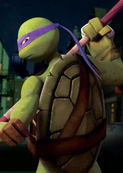 Donatello (TMNT 2012) photo