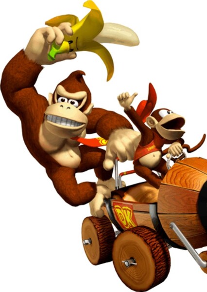 Donkey and Diddy Kong photo