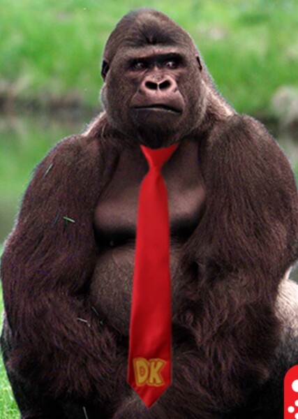 Donkey Kong (Character) photo