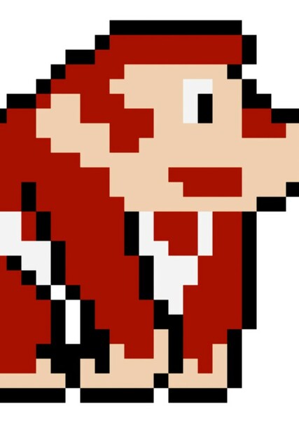 Donkey Kong Jr. photo