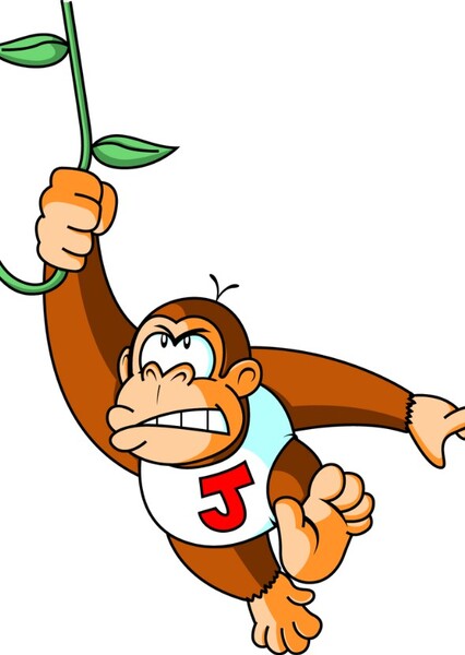 Donkey Kong Jr. photo