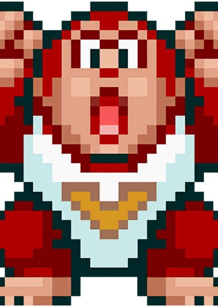 Donkey Kong Jr. photo