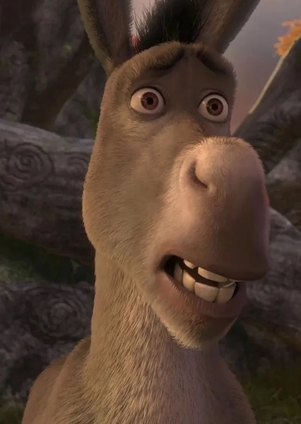 Donkey (Shrek) photo