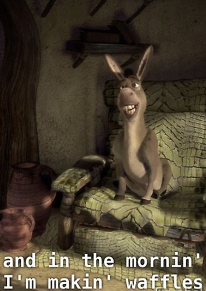 Donkey (Shrek) photo