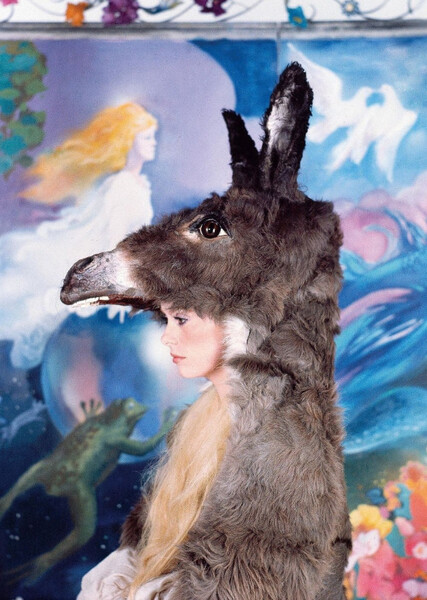 Donkey Skin photo