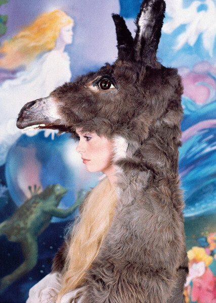 Donkey Skin photo