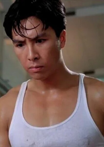 Donnie Yen photo