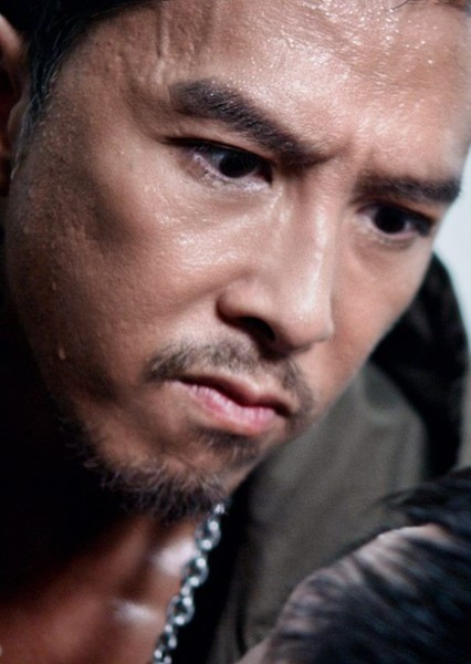 Donnie Yen photo