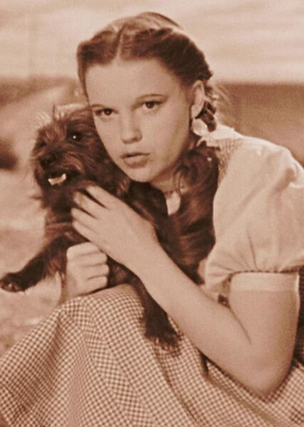 Dorothy Gale photo