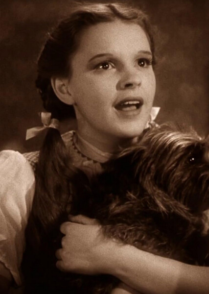 Dorothy Gale photo