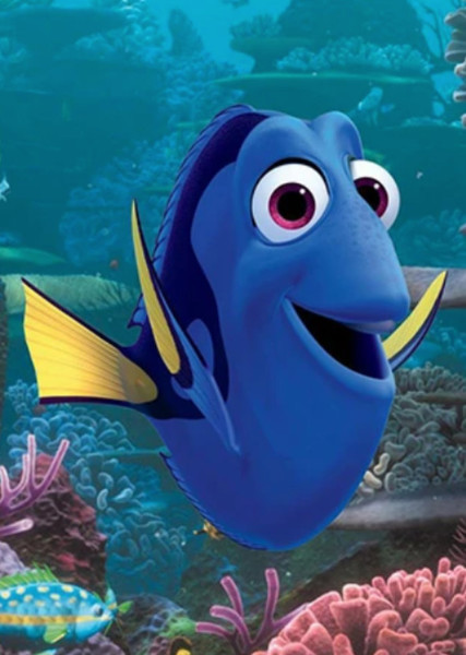 Dory photo