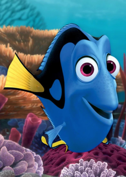 Dory photo