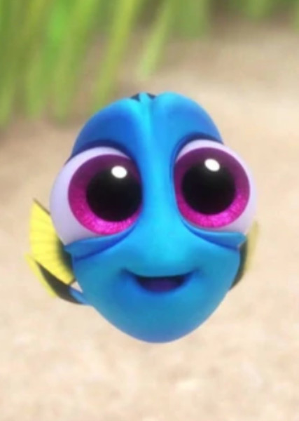 Dory