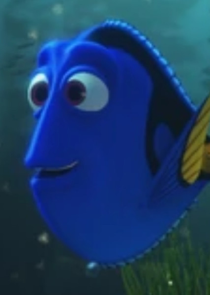 Dory photo