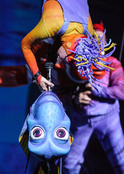 Dory photo