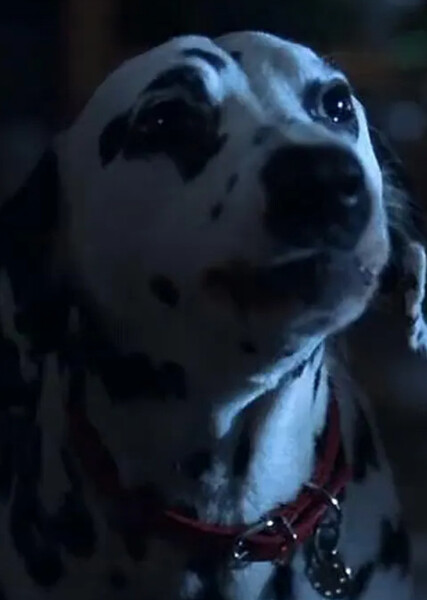 Dottie (101 Dalmatians) photo