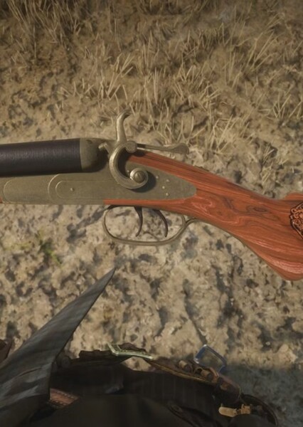 Double-barreled Shotgun photo