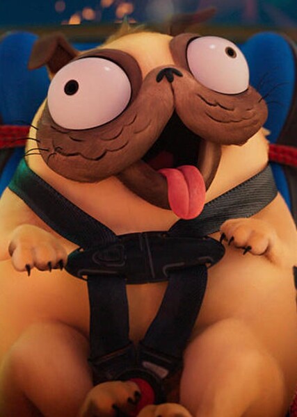 Doug the Pug photo