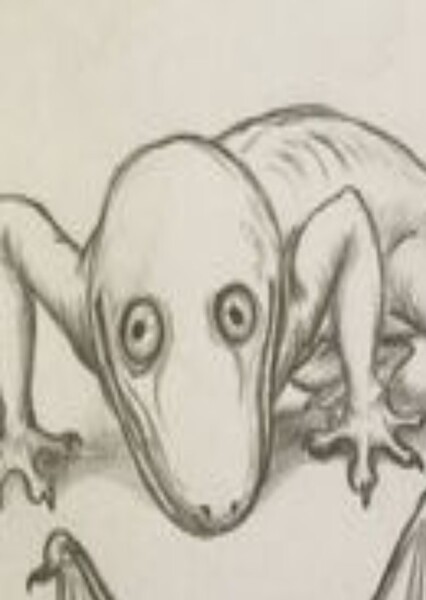 Dover Demon