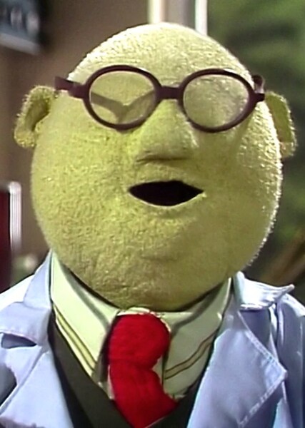 Dr. Bunsen Honeydew photo